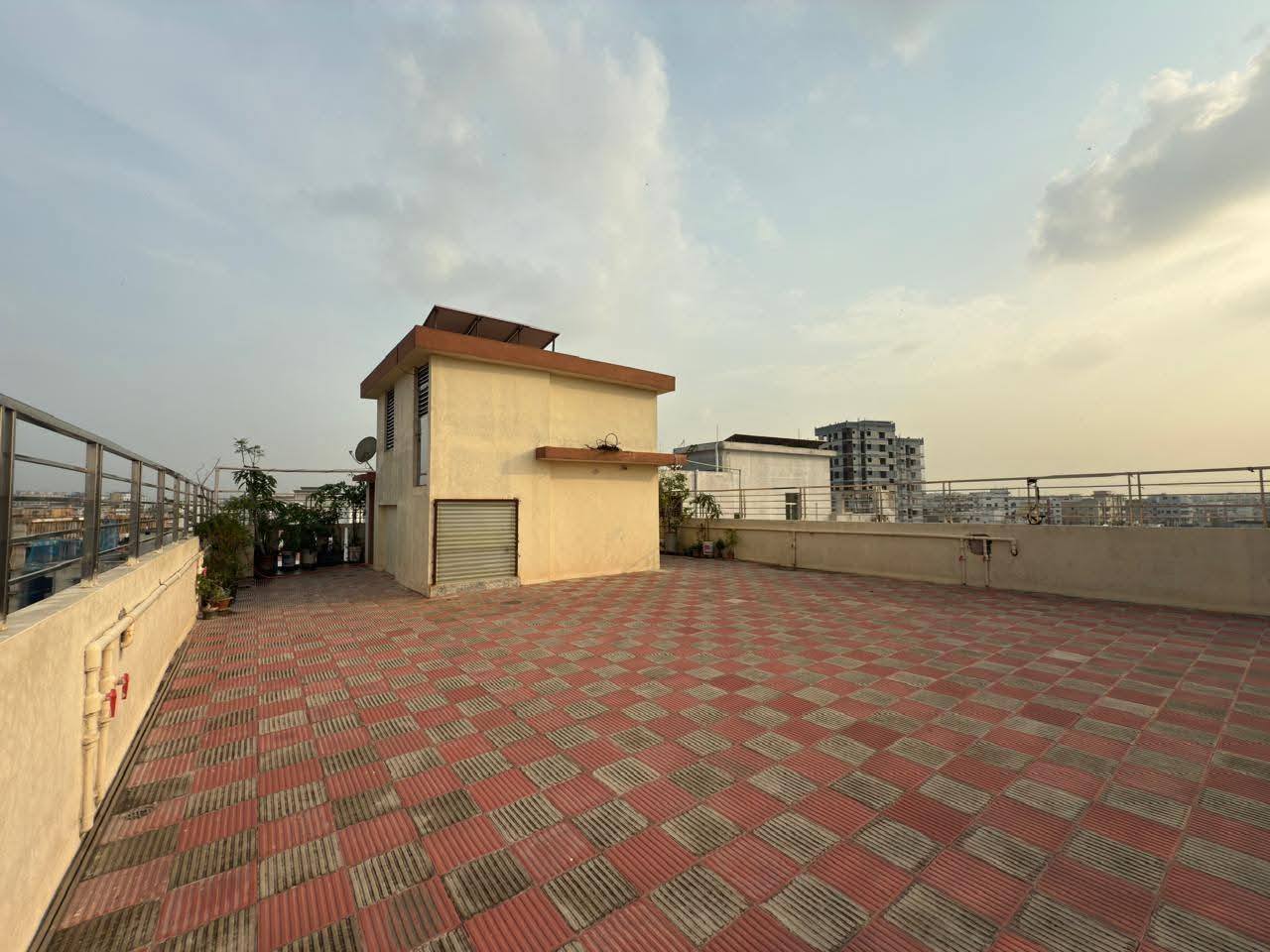Pabnagoli8